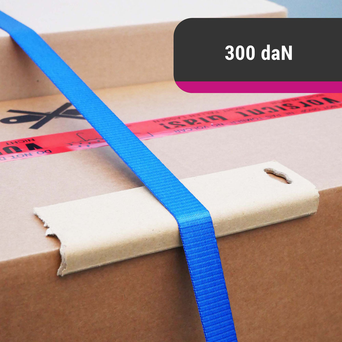 D&W Spanngurt 25mm x 5m 300 daN