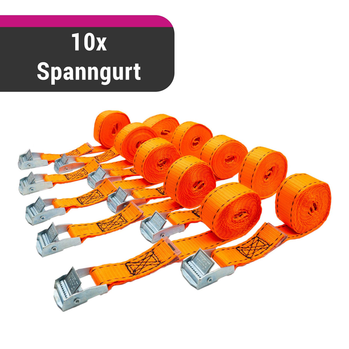 D&W 10x Spanngurt 25mm x 2.5m 125 daN